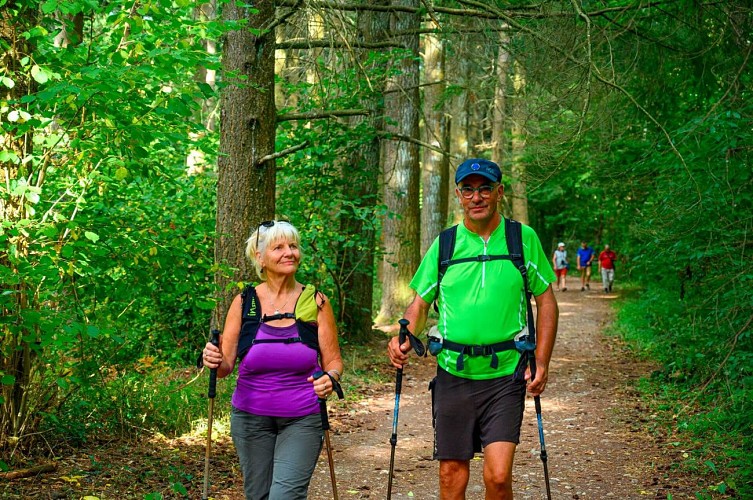 Randonnée - Les environs de Torchefelon
