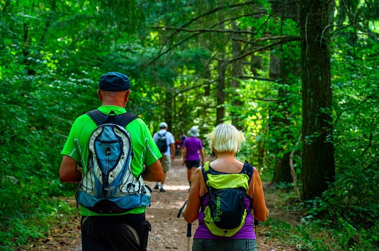 - Les environs de Torchefelon