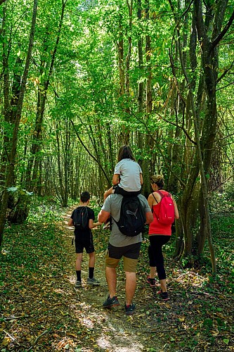 Randonnée Vallée de l'Hien et forêt du Roi