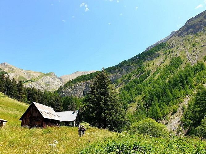 Talon's Cabins: two cabins situated in a meadow in a wooded valley