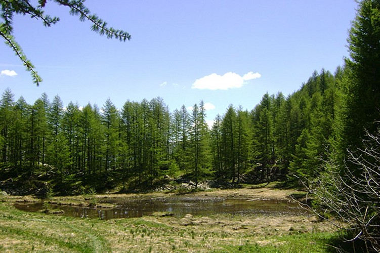 collegamento Val d'Allos - La Foux Val d'Allos - Le Seignus