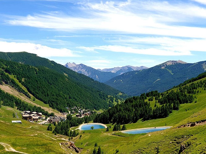 The Sources of Verdon