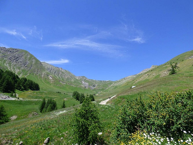 The Sources of Verdon