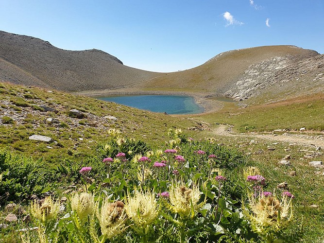 Lac des Garrets, a body of water nestled in the hollow of a headland, surrounded by vegetation, flowers and a dirt path