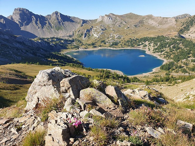 Ciclo dei laghi