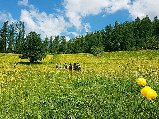 Percorso del Postino