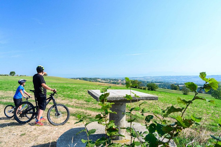 Mountain bike loop - Green escape_Biol