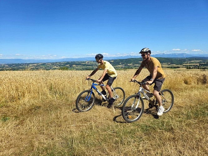 Mountain bike loop - Green escape - View