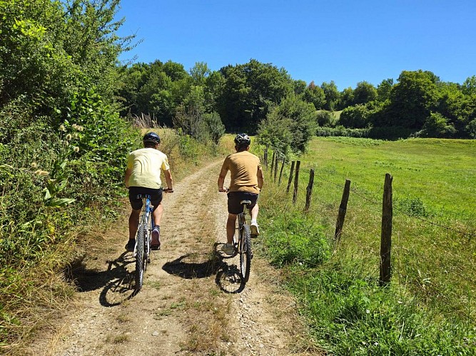 Mountain bike loop - Green escape_Biol
