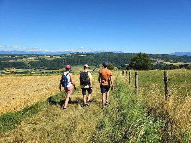 Chartreuse view at Bois du Seigneur