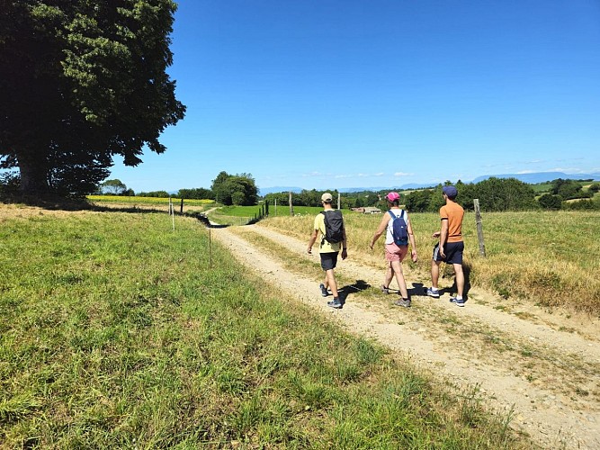 Hiking at Bois Vert - Montrevel