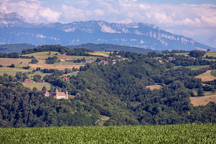 Randonnée Les Trois Croix - vue château de Virieu et Chartreuse