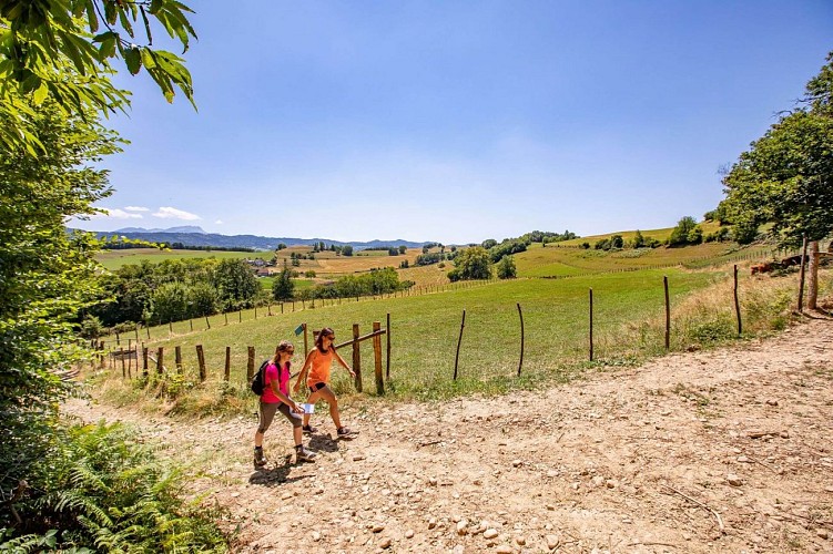 La campagne des Trois Saints_vers le Sacré Coeur