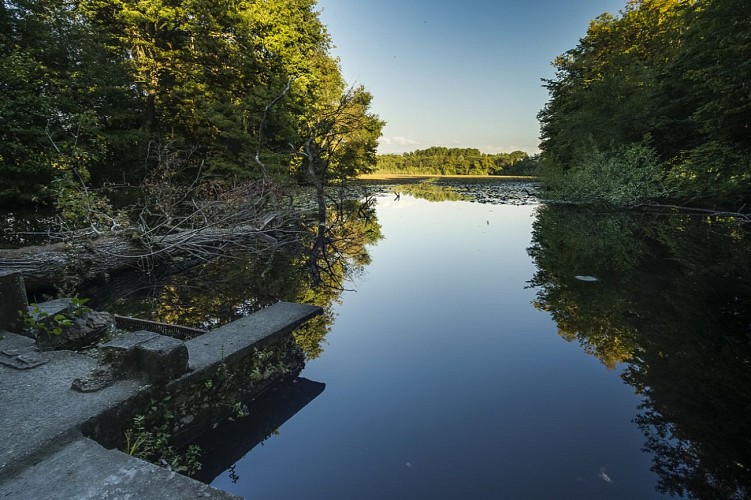 Mountain bike trail - The round of the ponds_Saint-André-le-Gaz