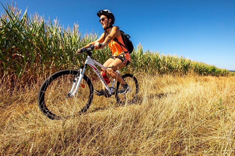 VTT Ronde des étangs