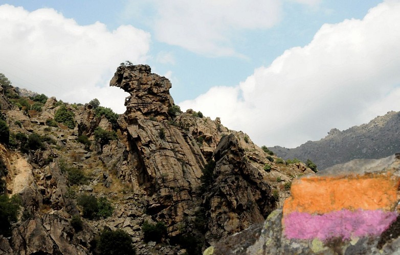 Le Sentier de la Transhumance étape 5 - De Bonifatu à Calenzana