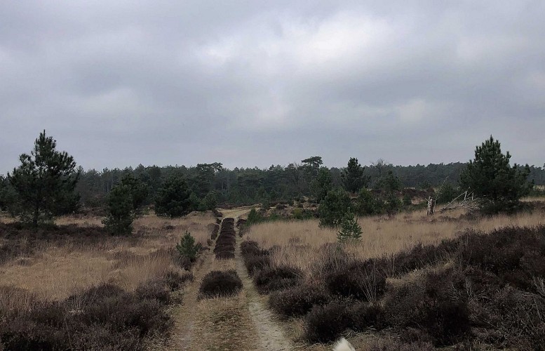 Brabantse Wal en Hollande - Val et Oli