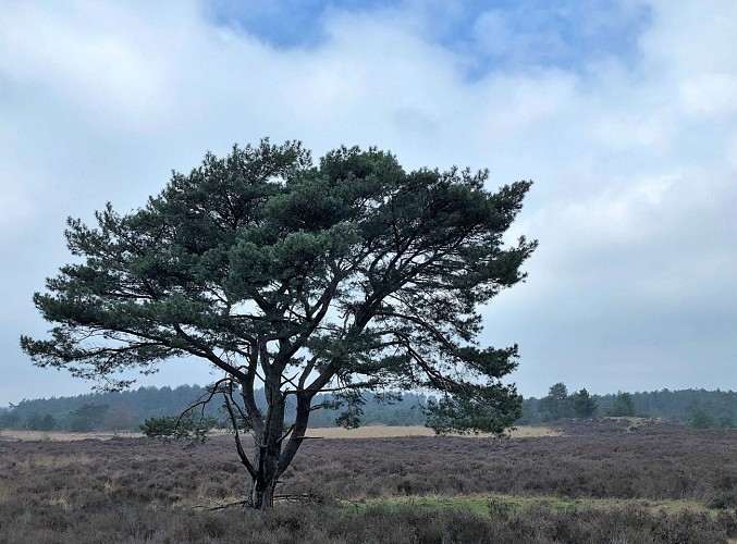 Brabantse Wal en Hollande - Val et Oli