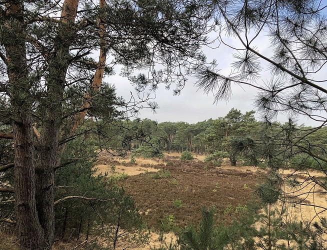 Brabantse Wal en Hollande - Val et Oli