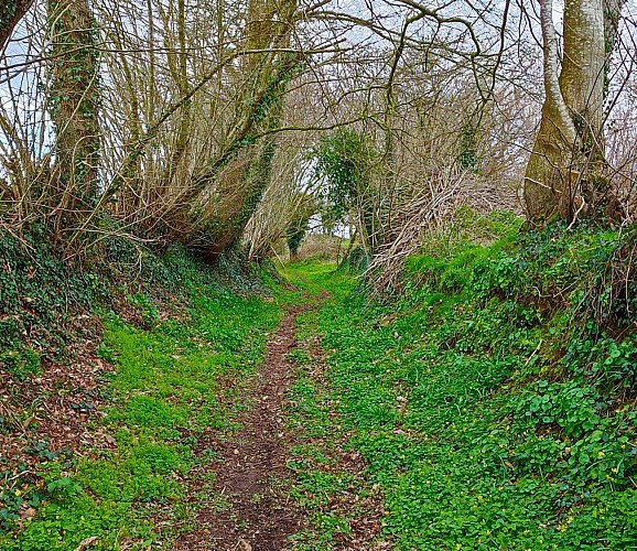 Circuit de Loc Ivy | Plouaret