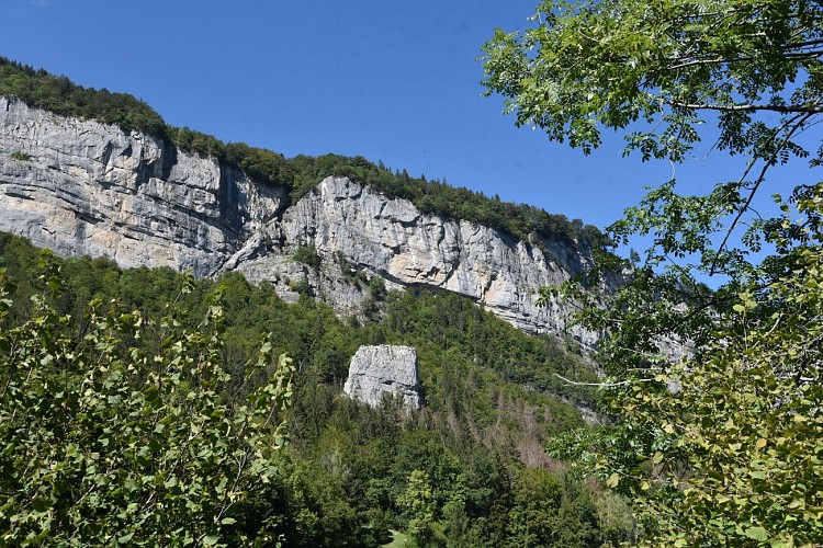 Hiking Trail: La Pierre à Voix (Limestone boulder)