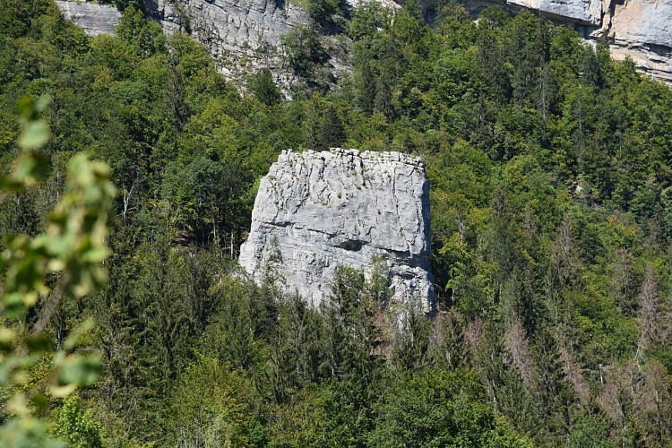Hiking Trail: La Pierre à Voix (Limestone boulder)