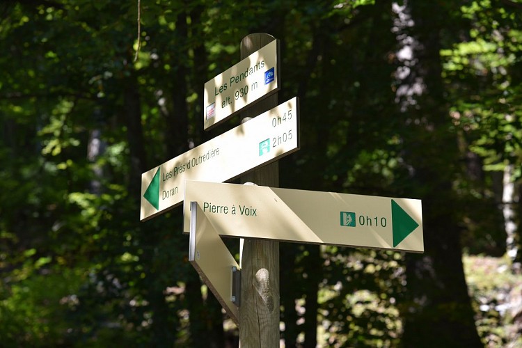 sentier pédestre : la Pierre à Voix