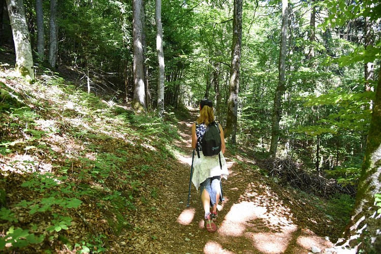 sentier pédestre : la Pierre à Voix