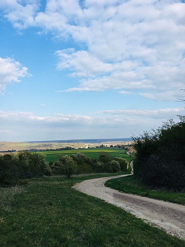 Vue_de_Clamecy_ depuis_la_colline_ de_ Feurtiot1_©M._Lagrandé