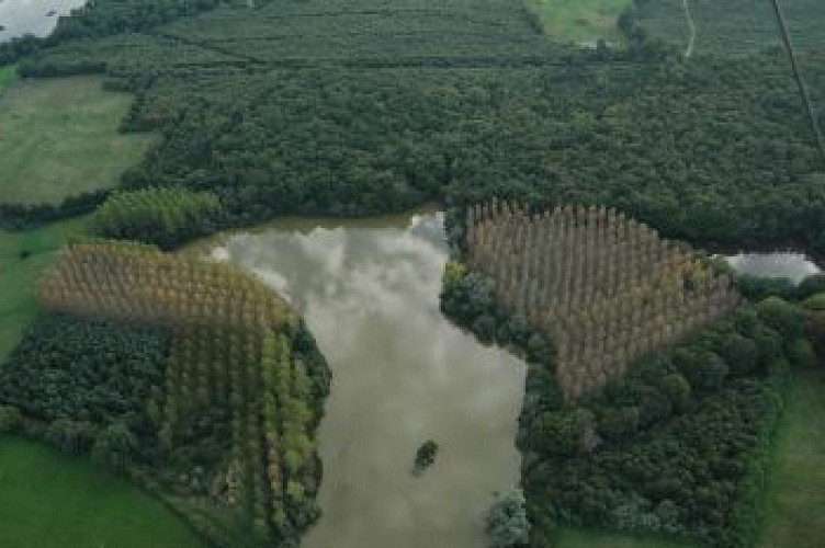 A l'orée des bois et des champs