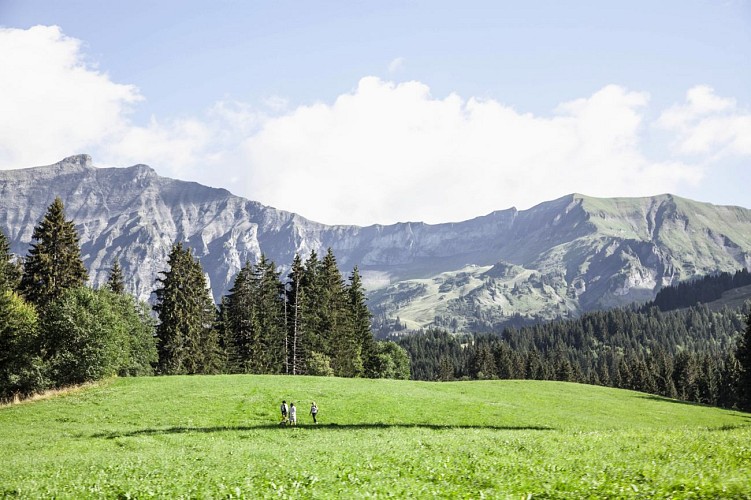 Hiking trail : Lake Javen
