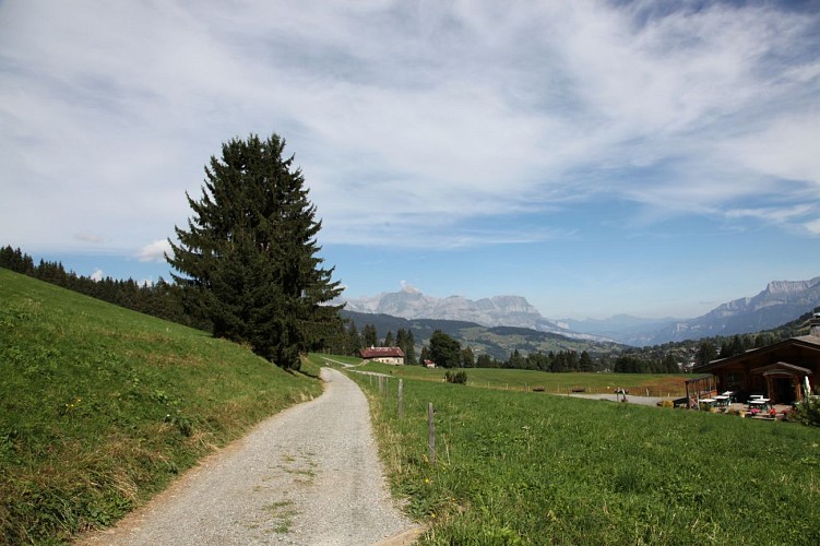 Passeggiata: il lago di Javen