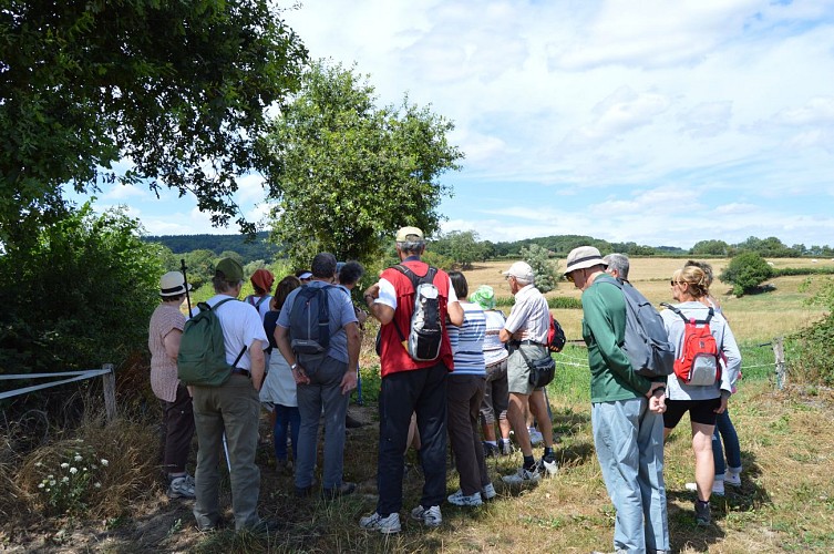 Activité de Loisirs-Randonnée Balade d'été groupe 2-Laizy