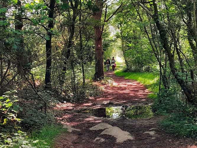 Vallon de la chambre au Loup