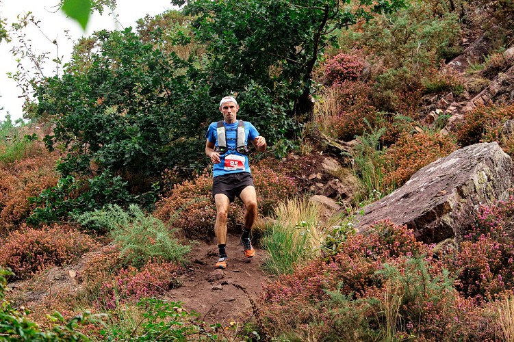 Trail des Légendes de Brocéliande ©Sarah ANNE (98)-2