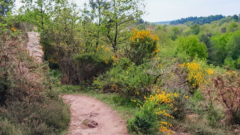 Vallon de la chambre au Loup