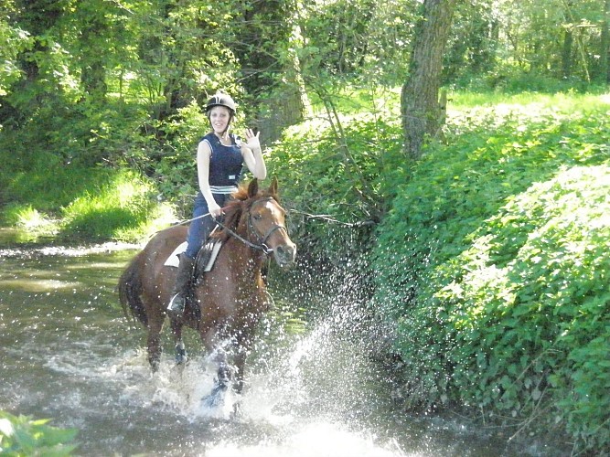 Randonnée équestre rafraissante