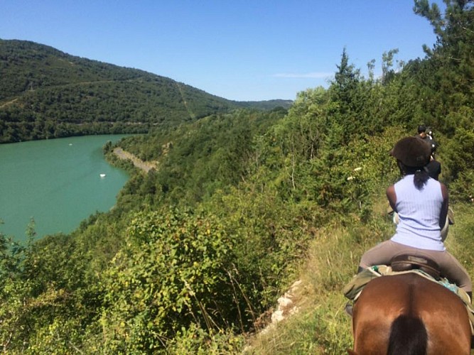 Complexe équestre Cheval Bugey©DR (7)