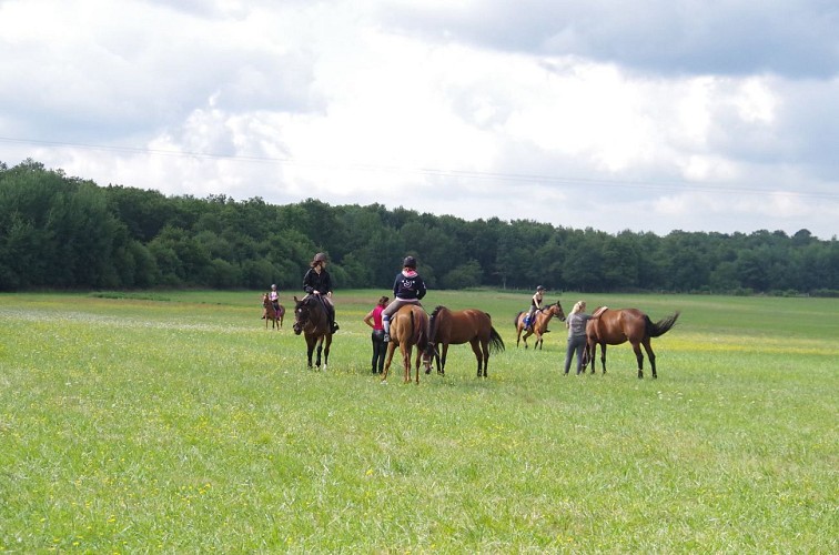 Equestrian itinerary St Etienne sur Reyssouze - St Nizier le Bouchoux