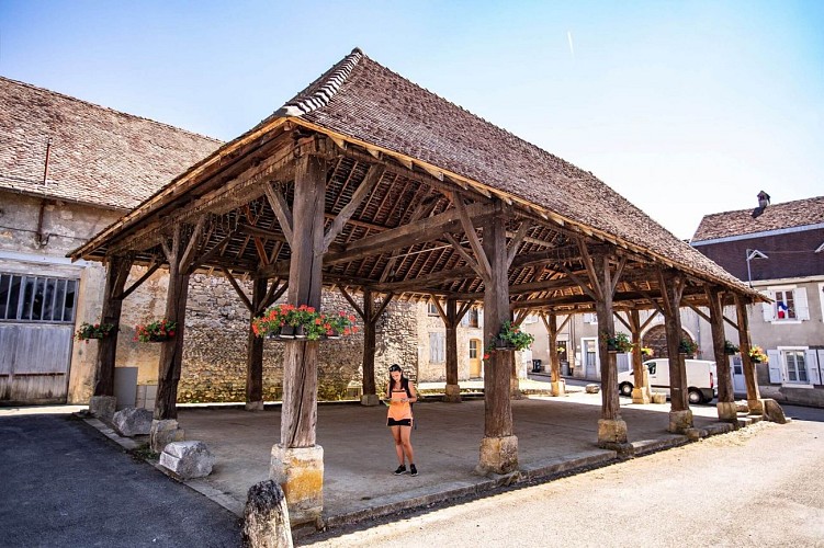 Cicruit découverte - Halle de Virieu