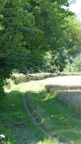 Chemin des Moulins et des Châteaux