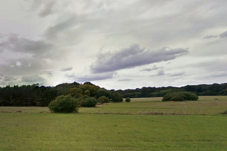 Paysage à Sully-la-Chapelle