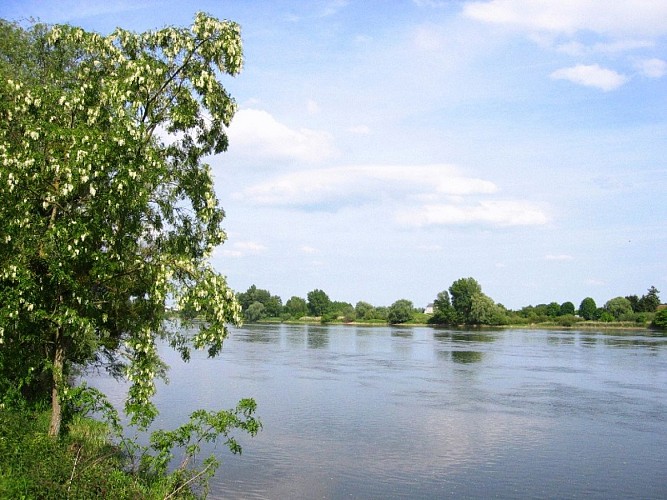 Bords de Loire à la Chapelle-Saint-Mesmin