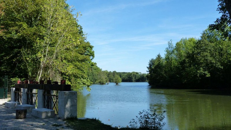 Lus 16 - De molens van Loiret