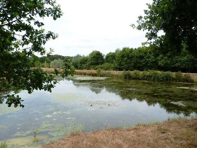 Sentier de l'étang de l'Evangile