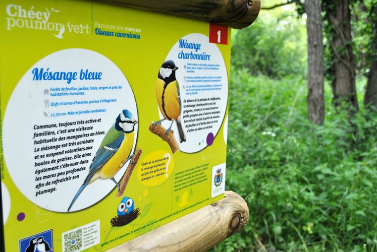 Parcours des oiseaux