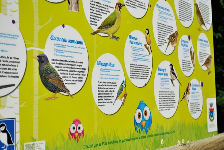 Parcours des oiseaux