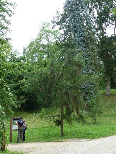 Chateauneuf : Parc naturel départemental de Châteauneuf-sur-Loire