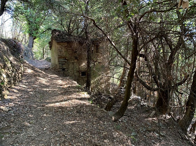 Nocario - Couvent d'Orezza