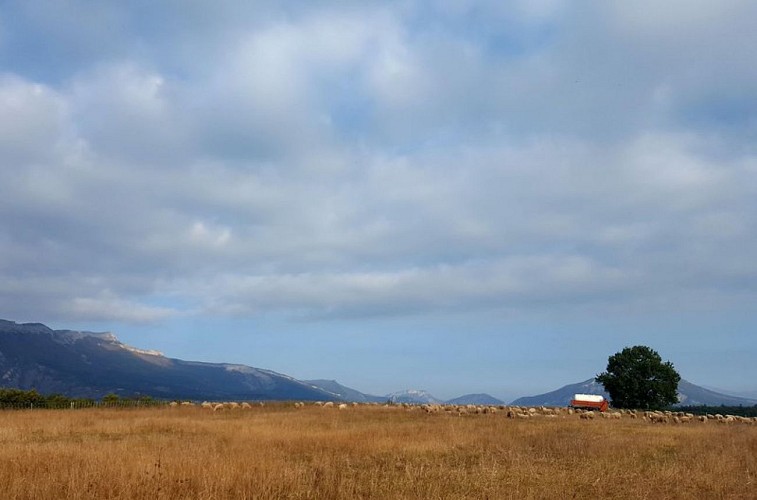 Hiking trail "Sainte Grique"